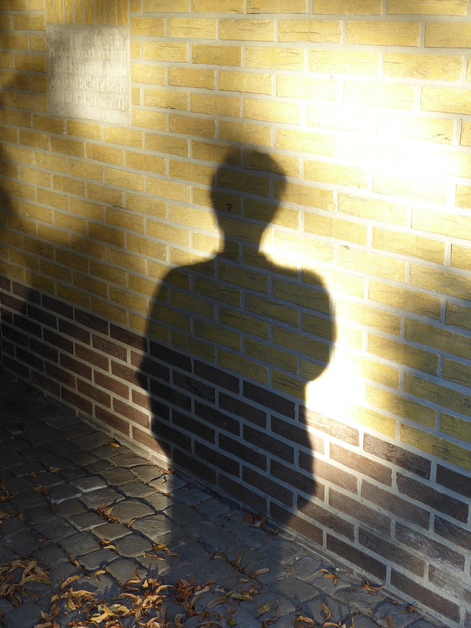 shadow figure sunlight free photo