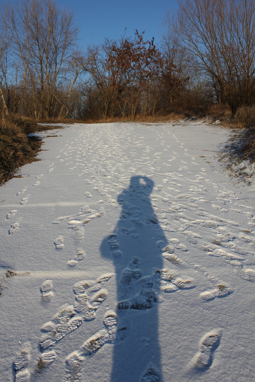 shadow silhouette snow free photo