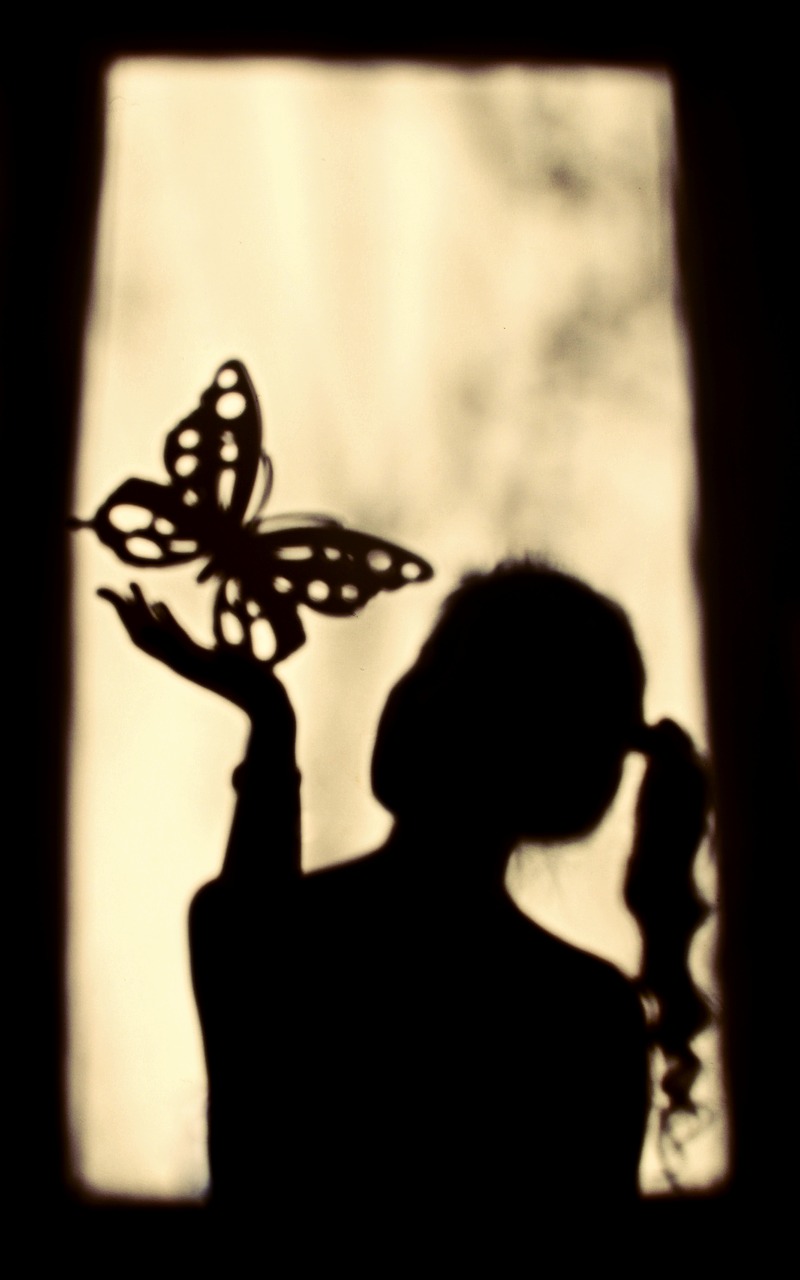 shadow girl butterfly free photo