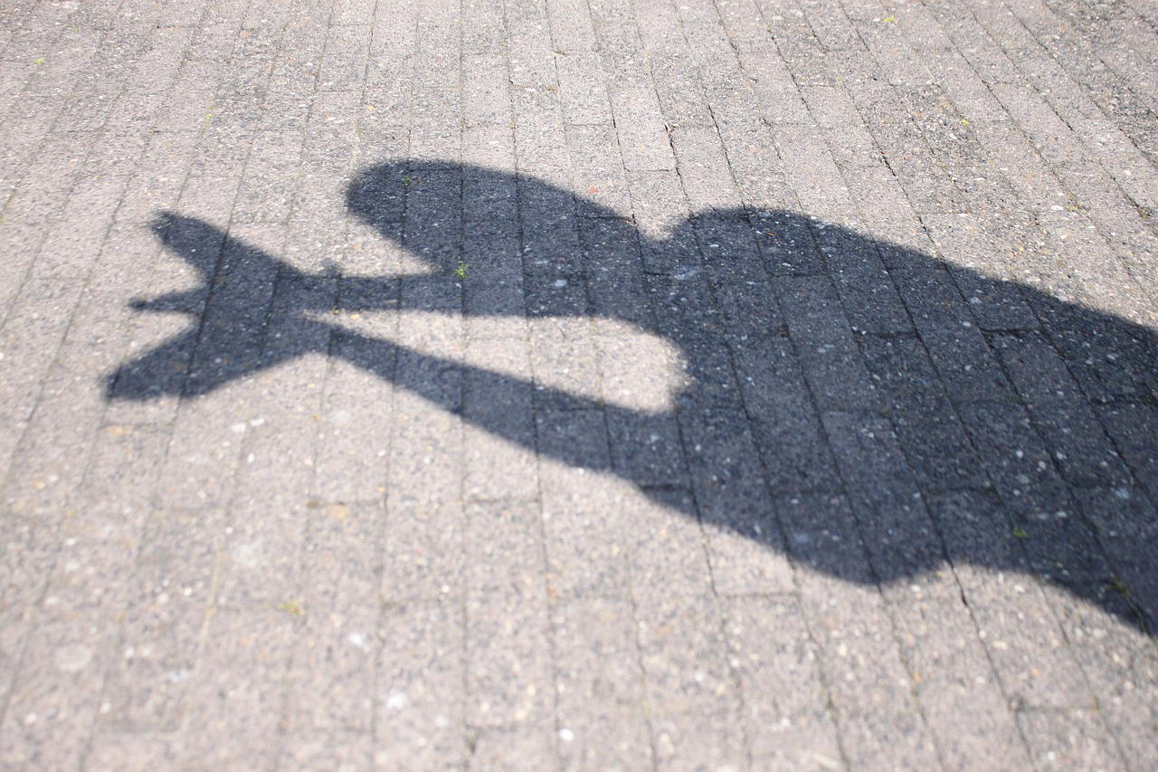 shadow butterfly hand free photo