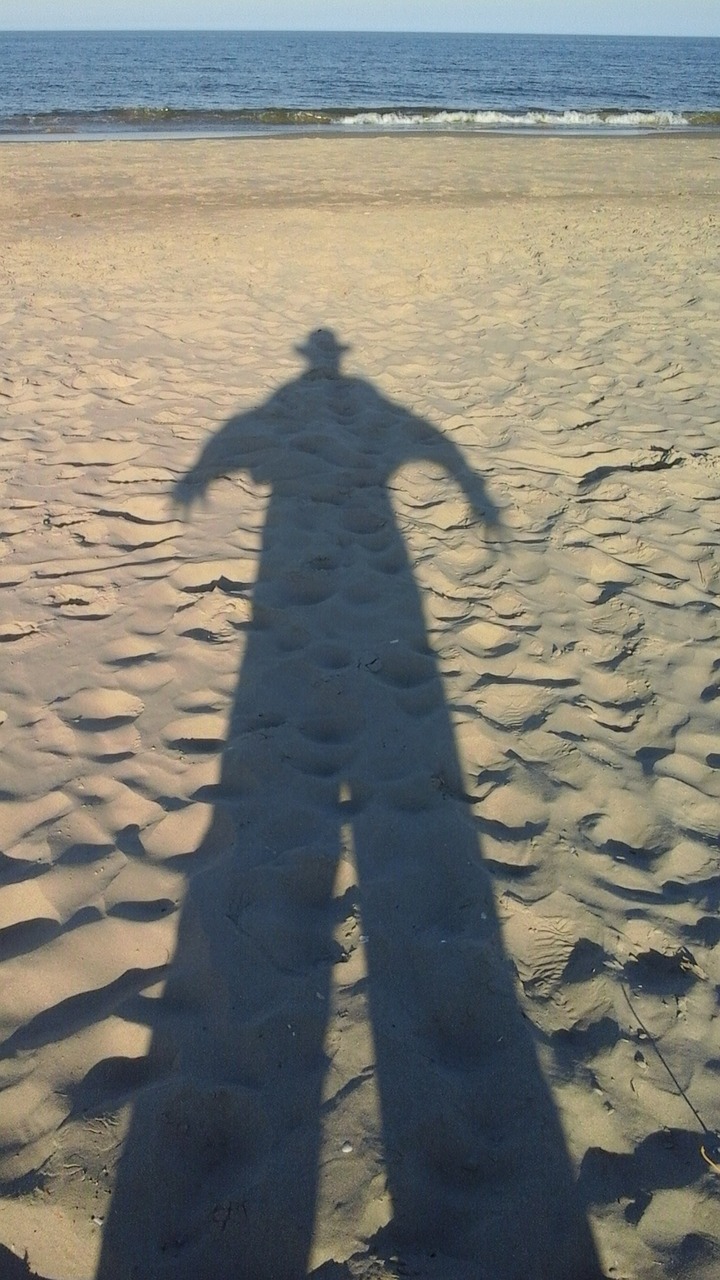 shadow beach sand free photo
