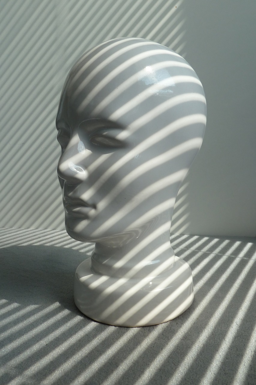 shadow pattern head free photo