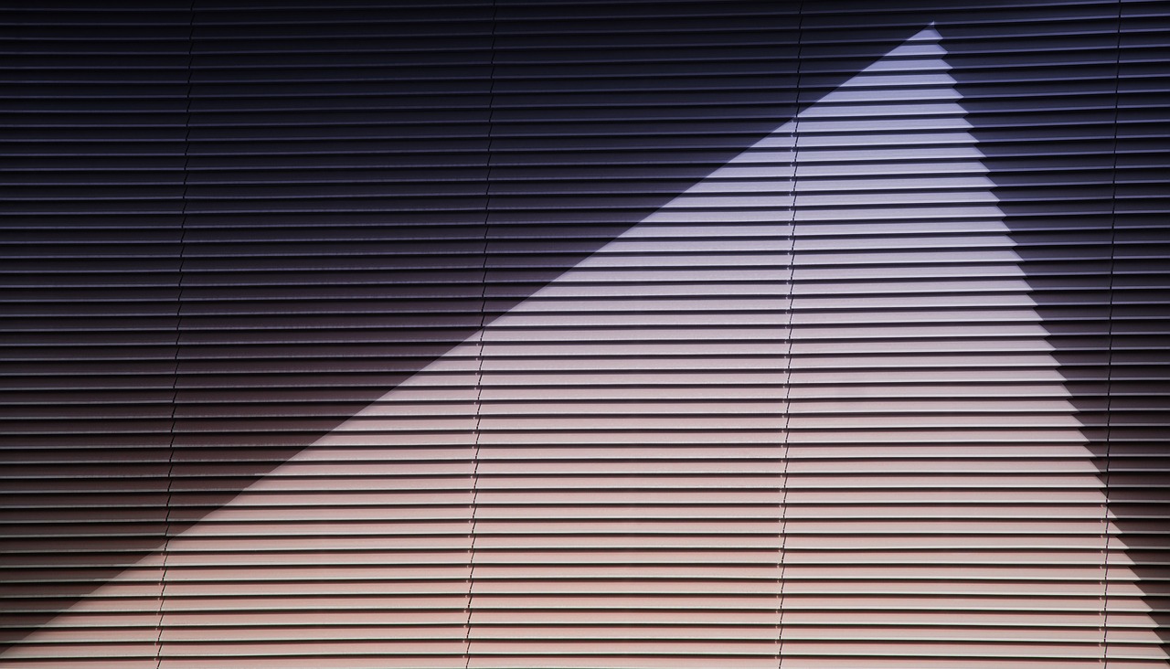 shadow light blinds free photo
