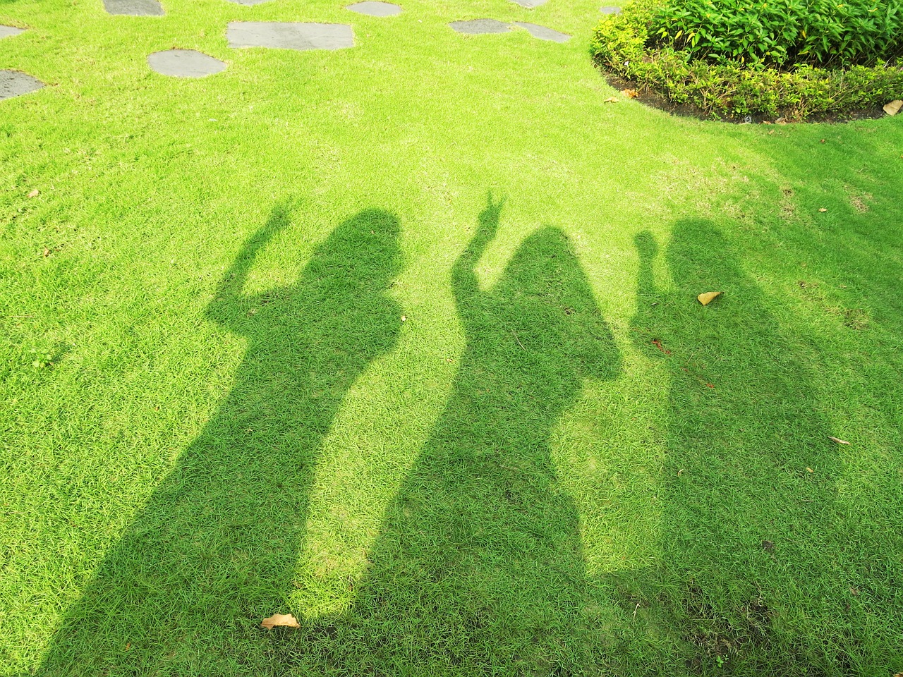 shadow girls grass free photo