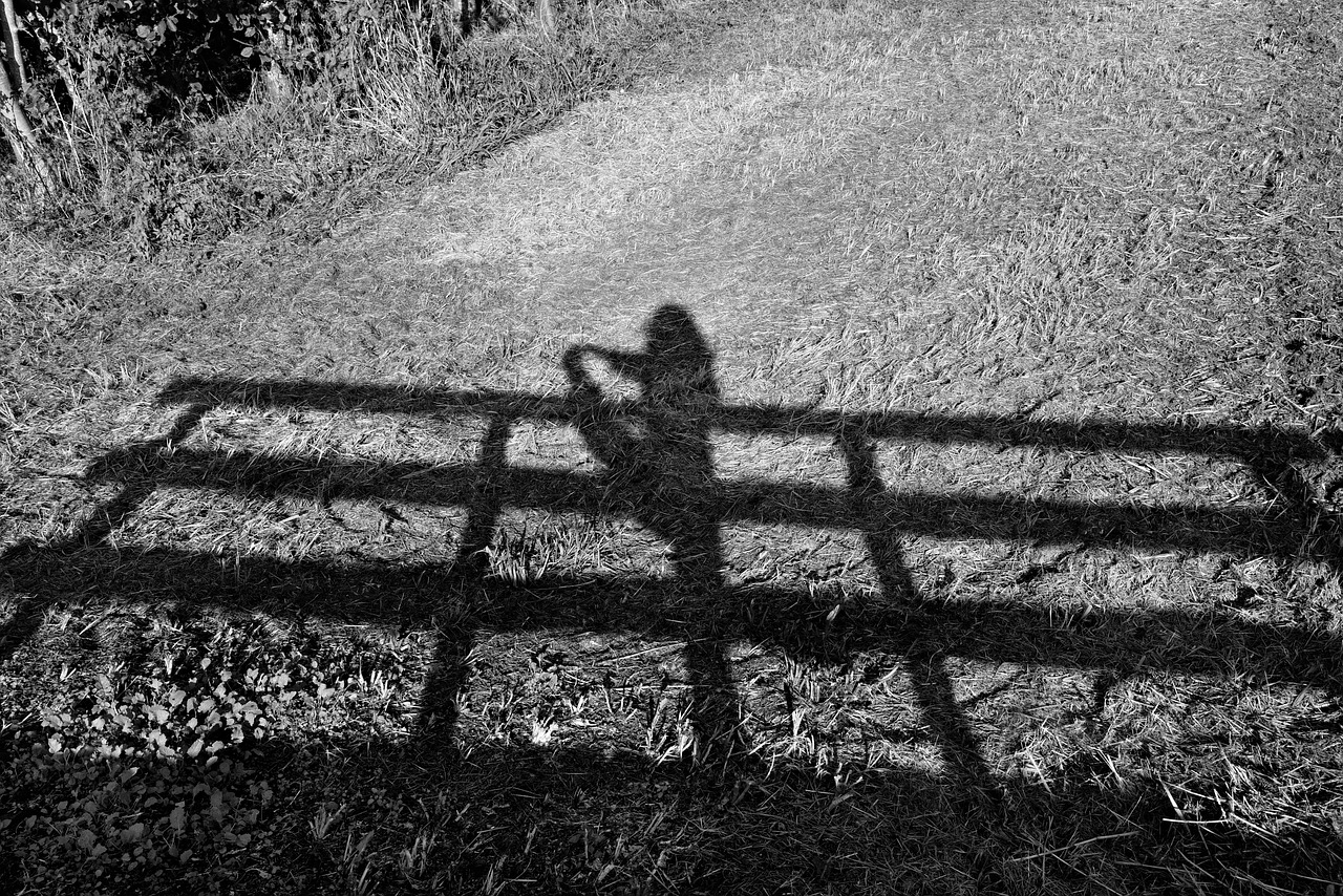 shadow  railing  bridge rail free photo