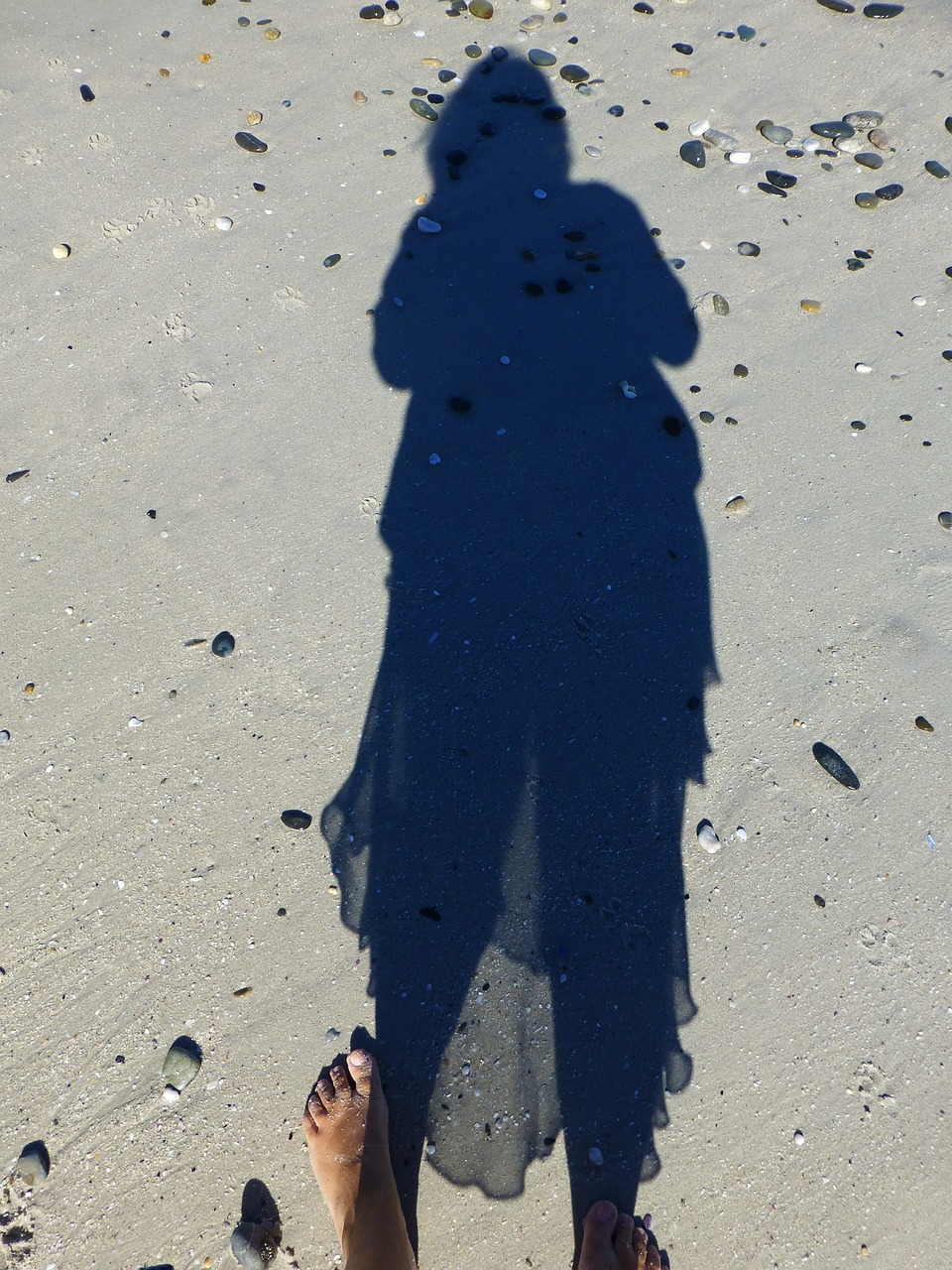 shadow beach sand free photo
