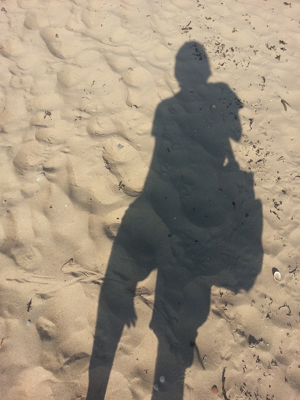 shadow beach sun free photo