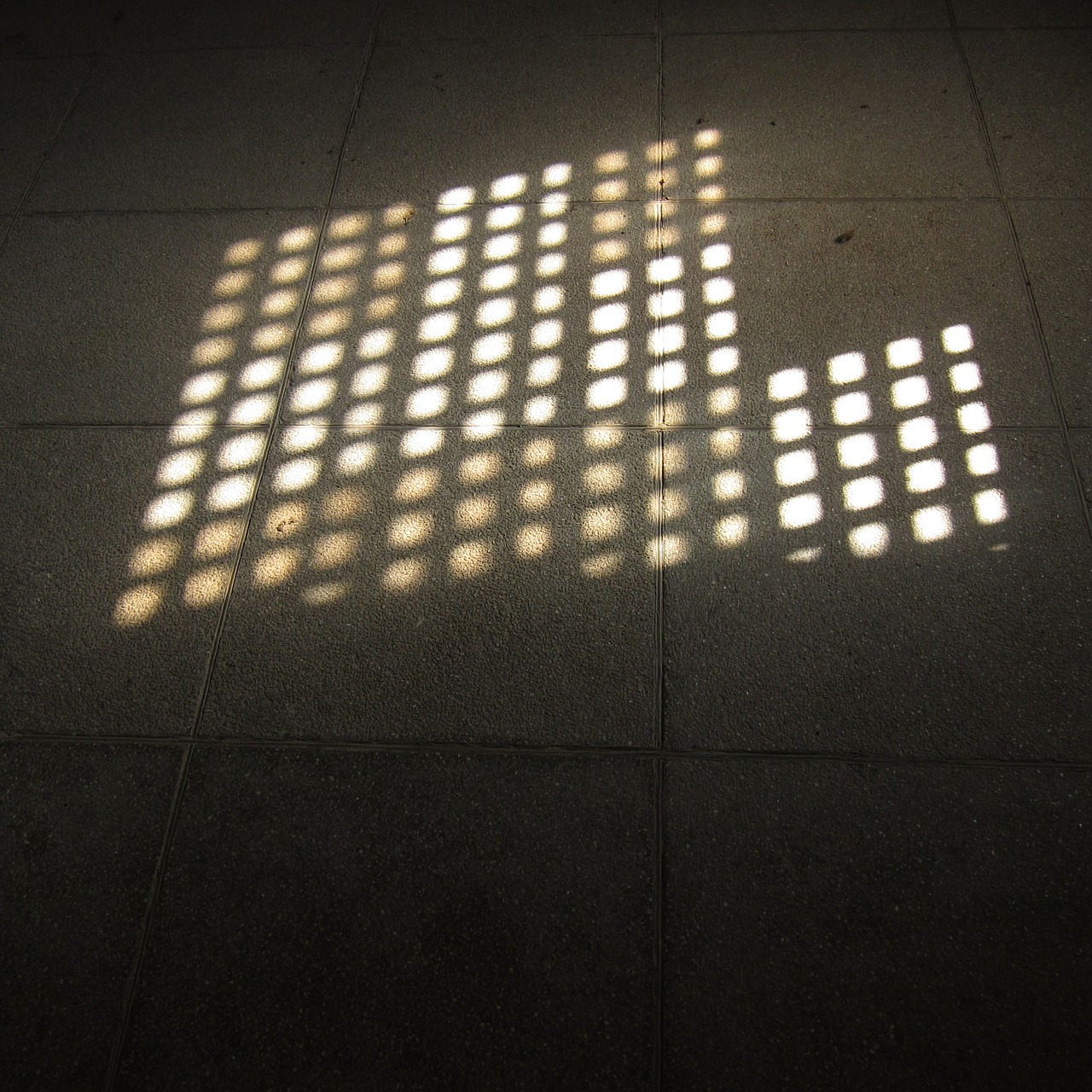 shadow light grid free photo