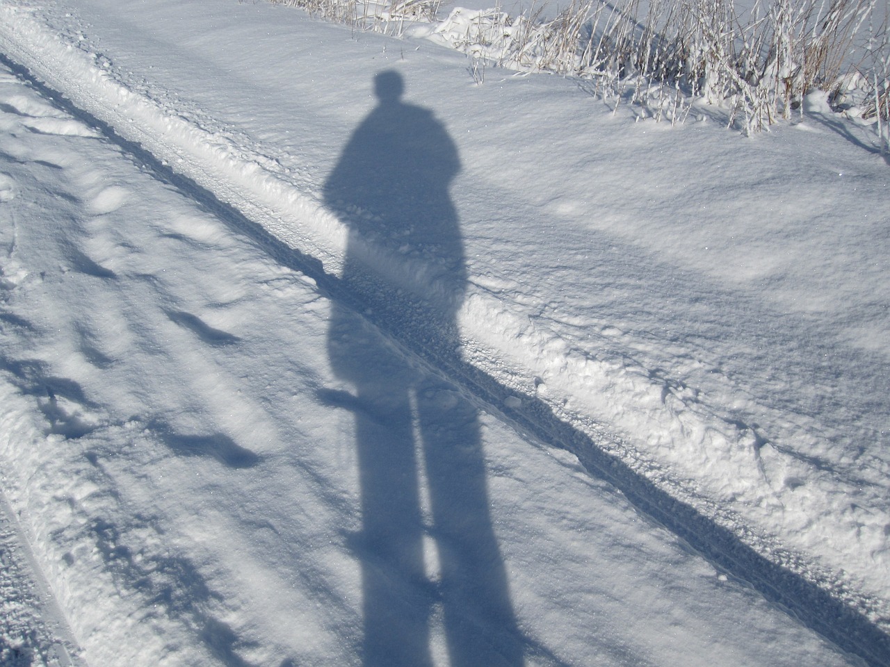 shadow snow winter free photo