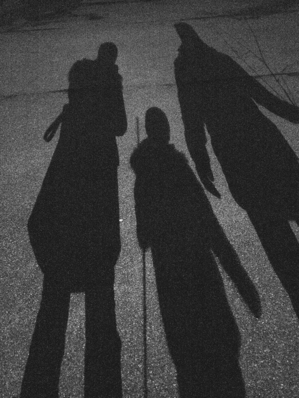 shadow night human free photo