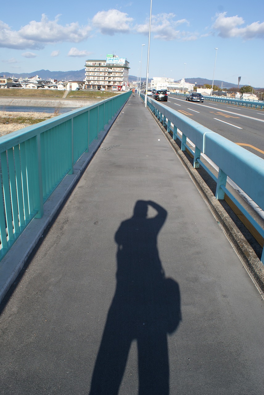 shadow photography bridge free photo