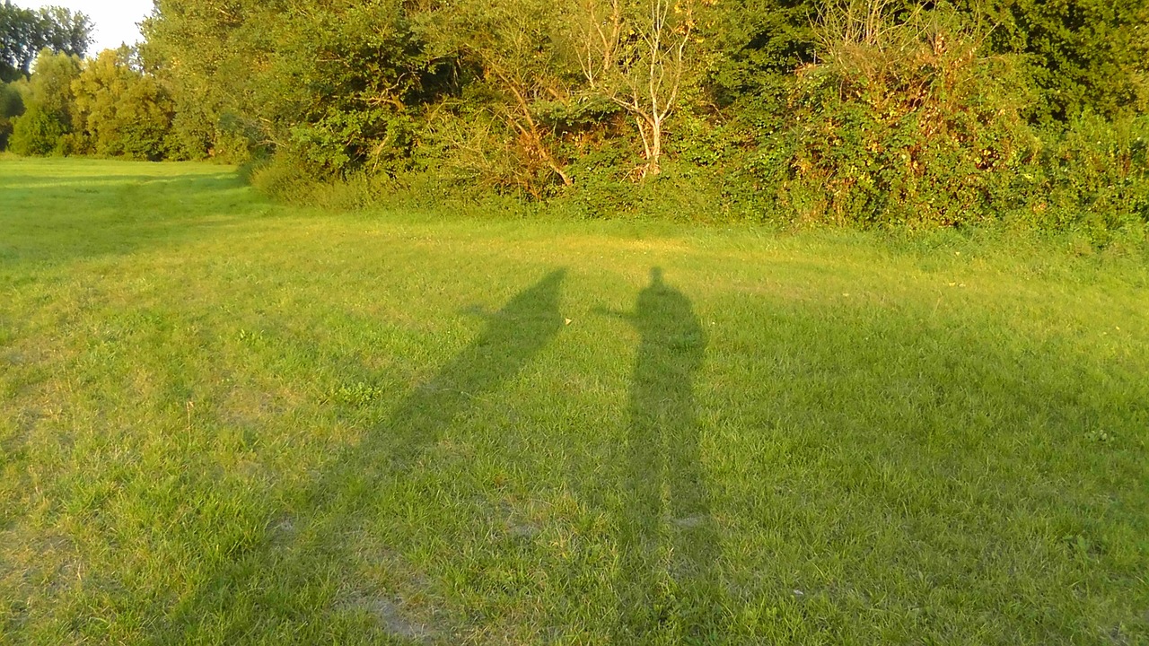 shadow shadow musicians human free photo