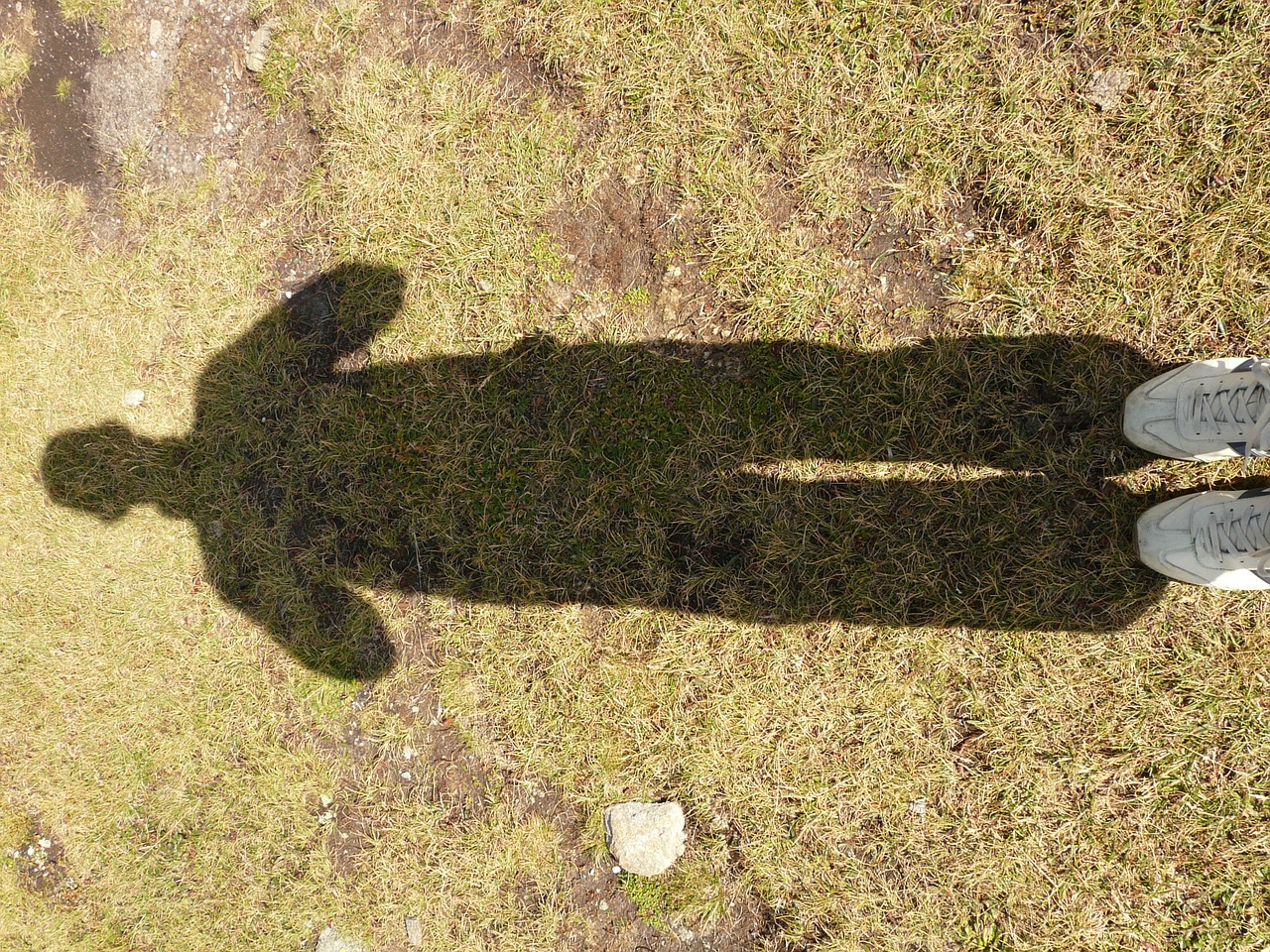 shadow shadow play human free photo