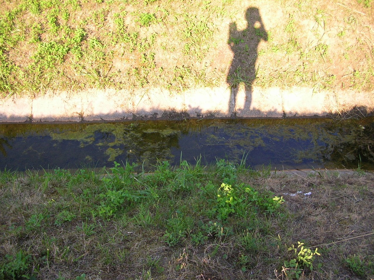 shadow light and shadow shadow play free photo