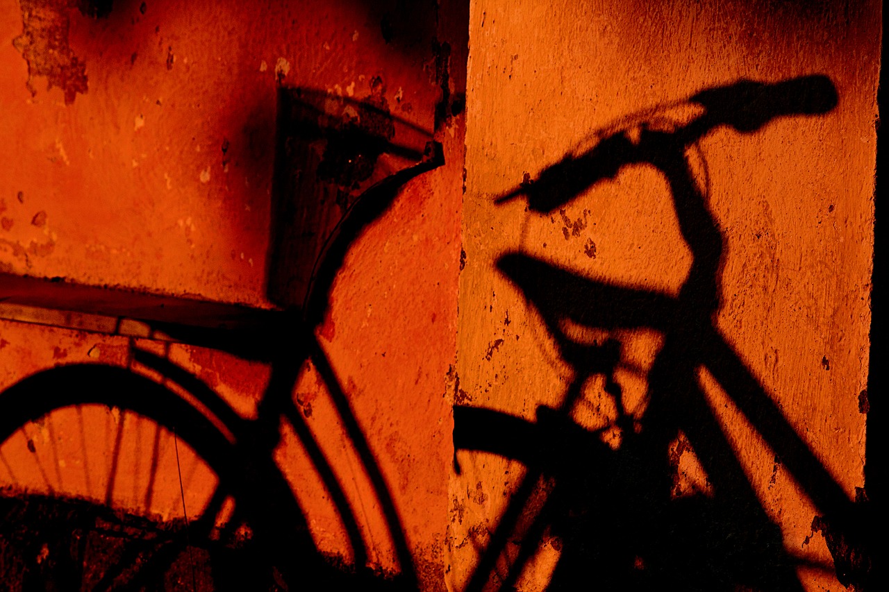 shadow bicycle morning free photo