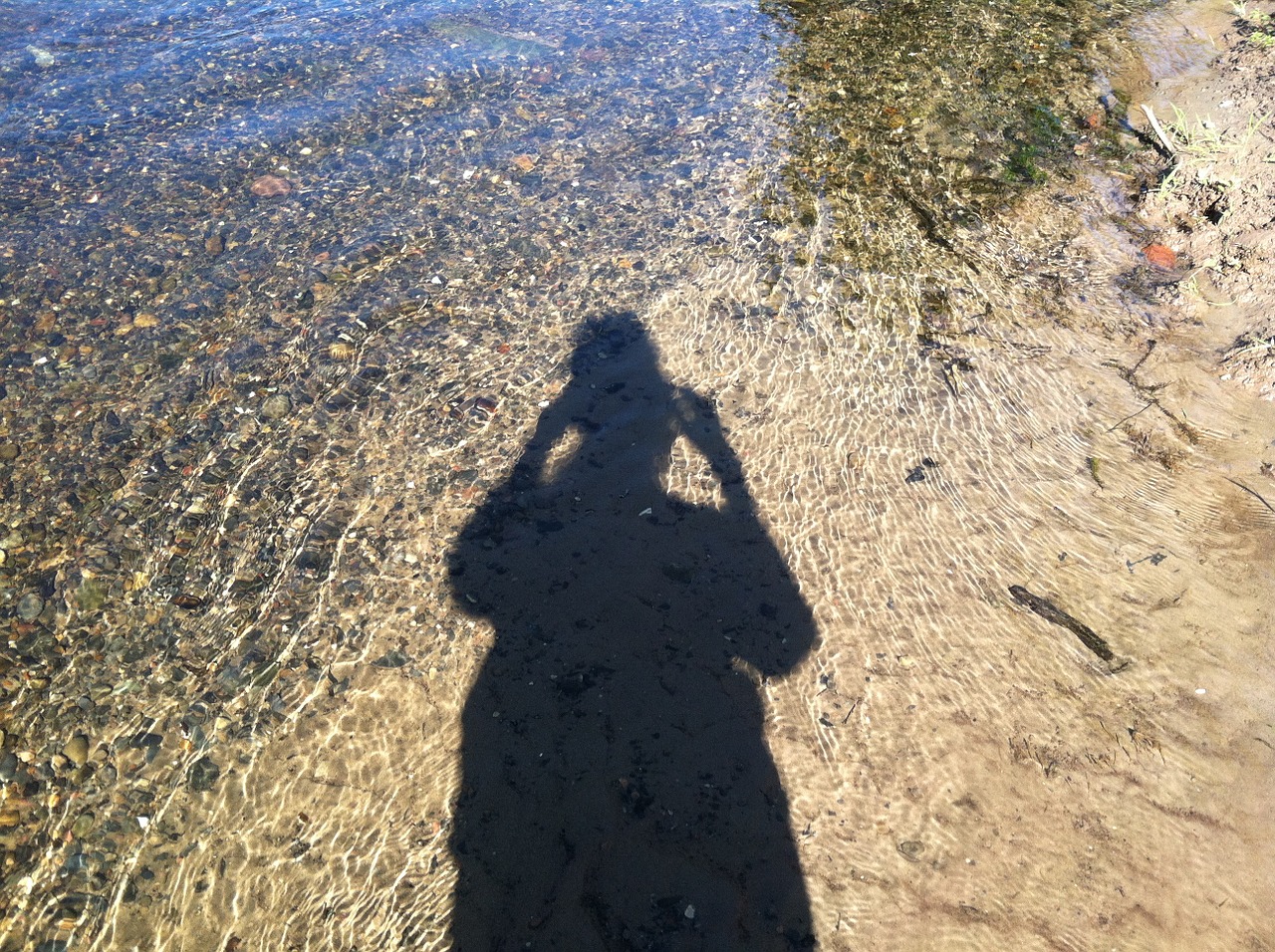 shadow river water free photo