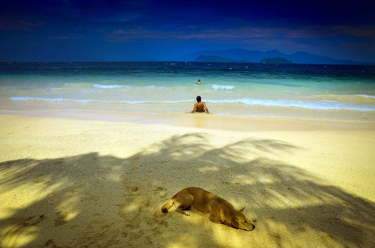 shadow parker thailand south sea free photo