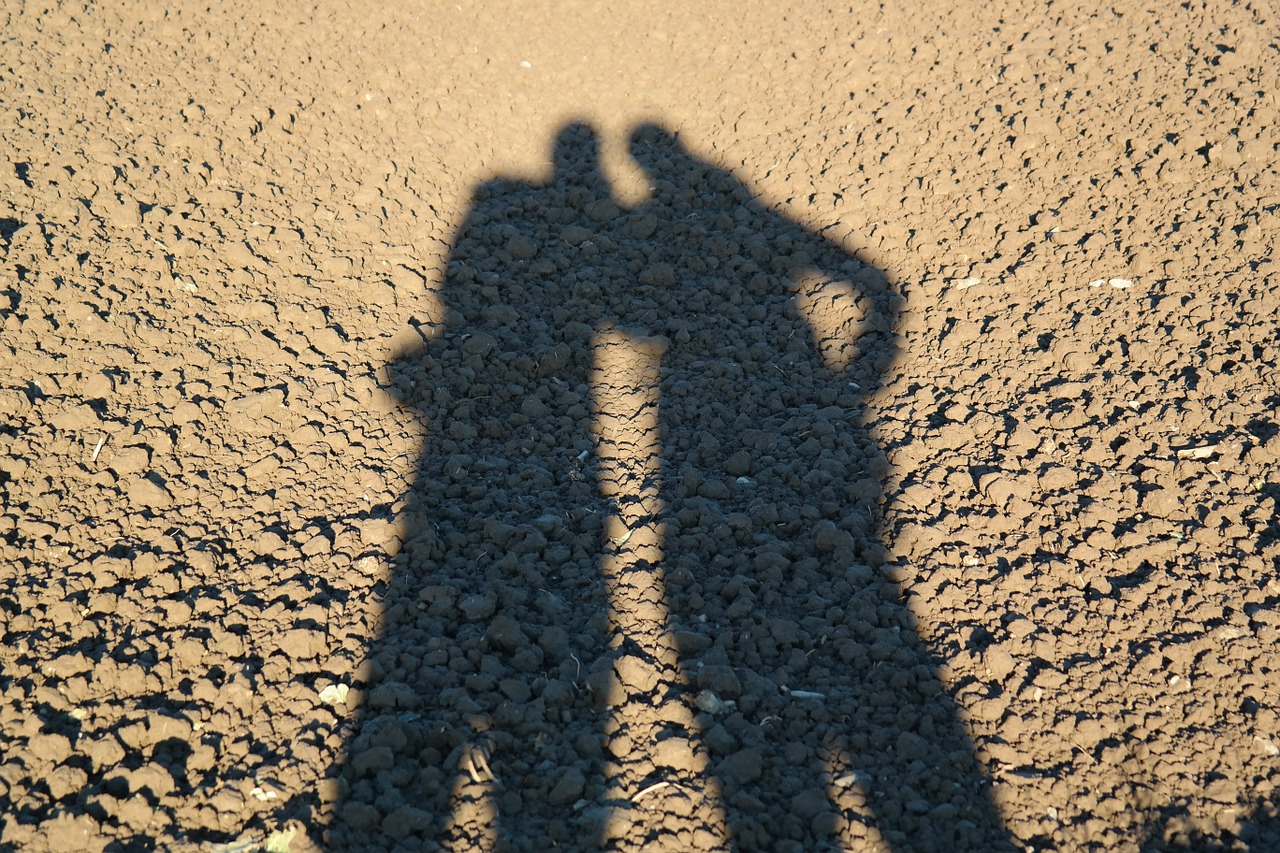 shadow play personal couple free photo