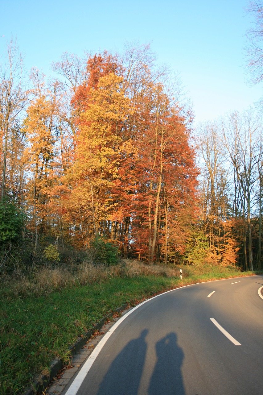 shadow play human autumn free photo