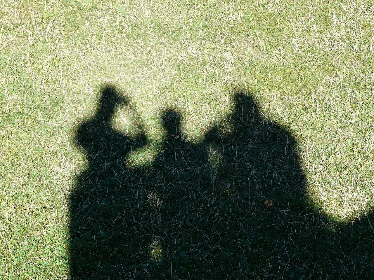 shadow play shadow silhouettes free photo