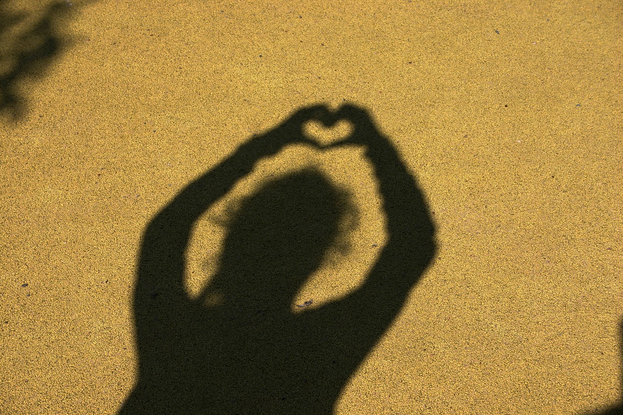 shadow play friendship love free photo