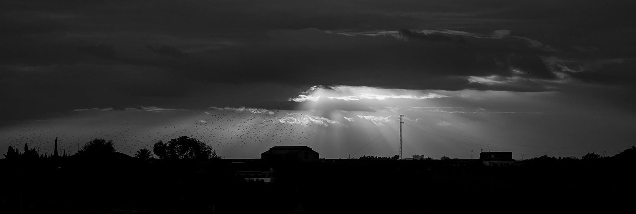 shadows sunset silhouette free photo