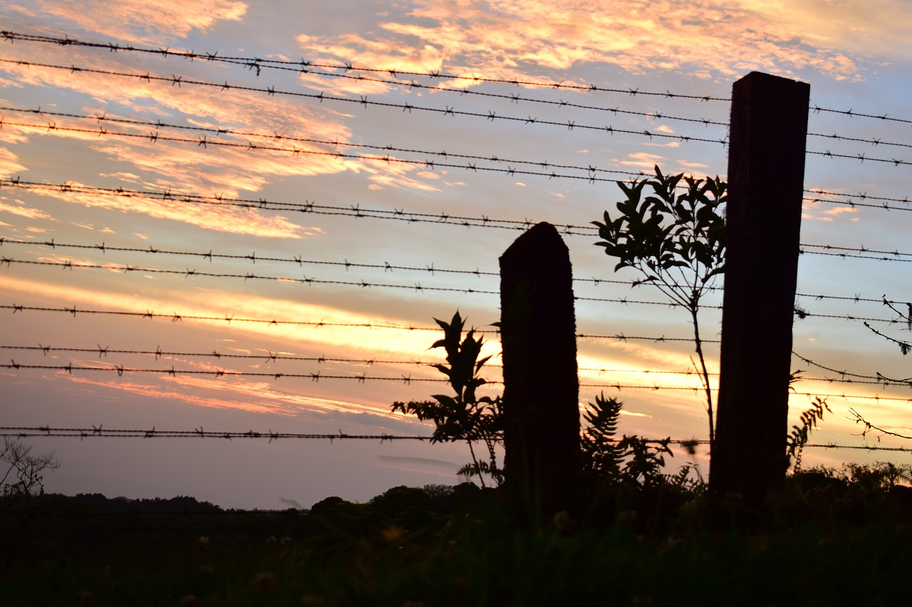 shadows landscape sunset free photo