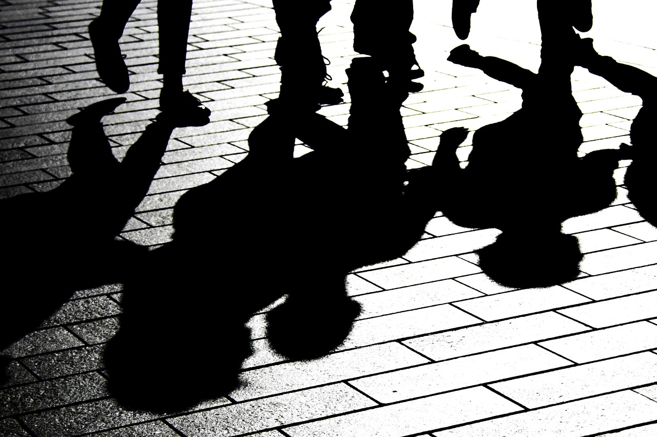 shadows reflected sun free photo