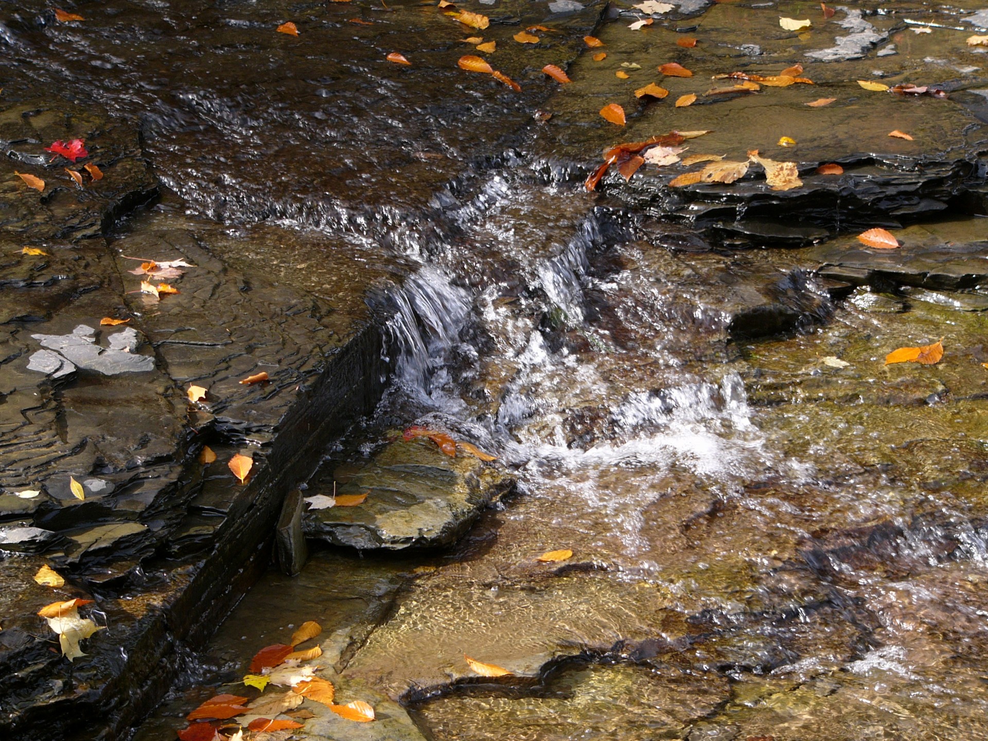 creek water flow free photo
