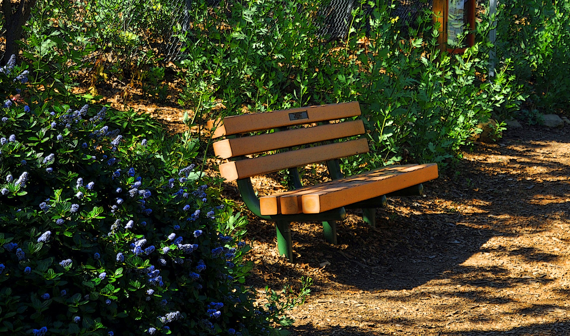 bench seat botanical gardens free photo