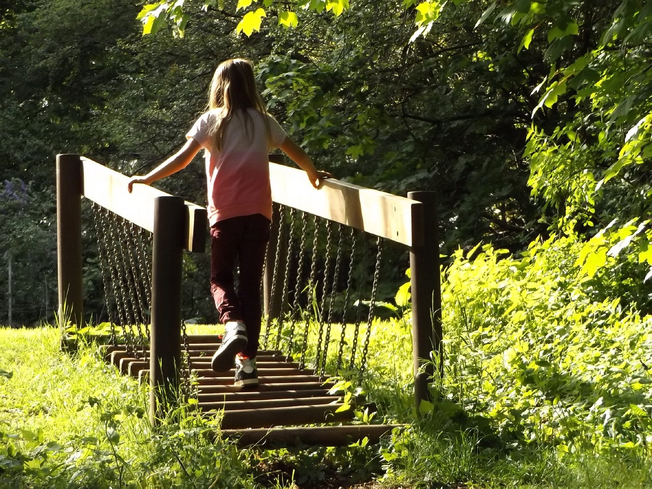 shaky bridge forest adventure path nature's playground free photo