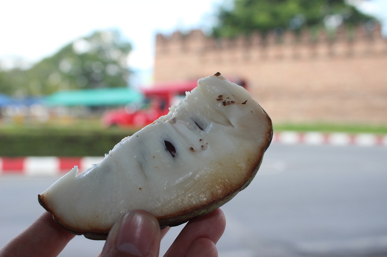 shakya fruit the city walls free photo