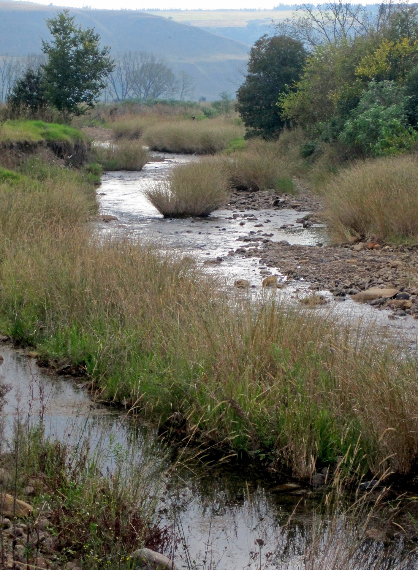 river water stream free photo