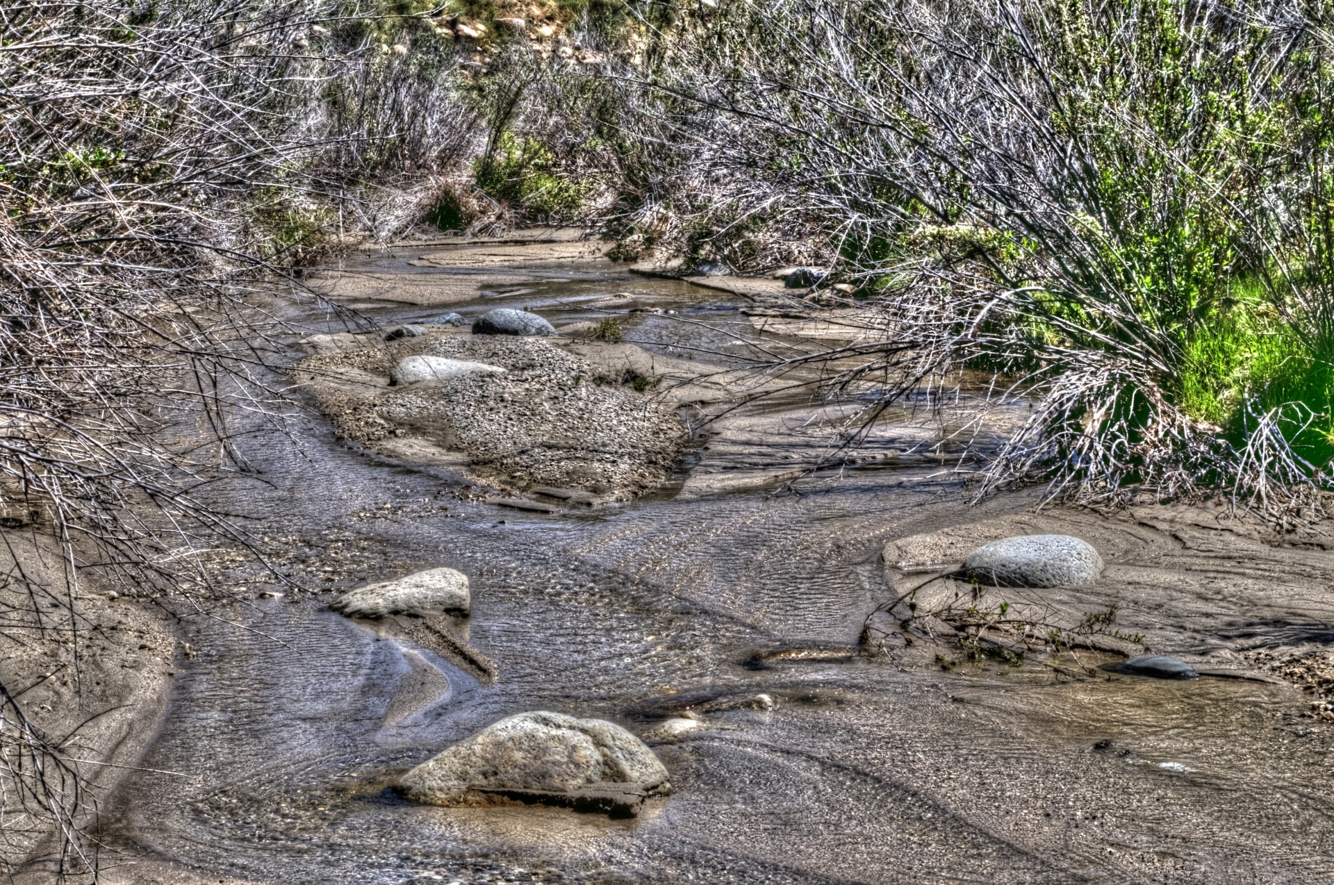stream river shallow free photo