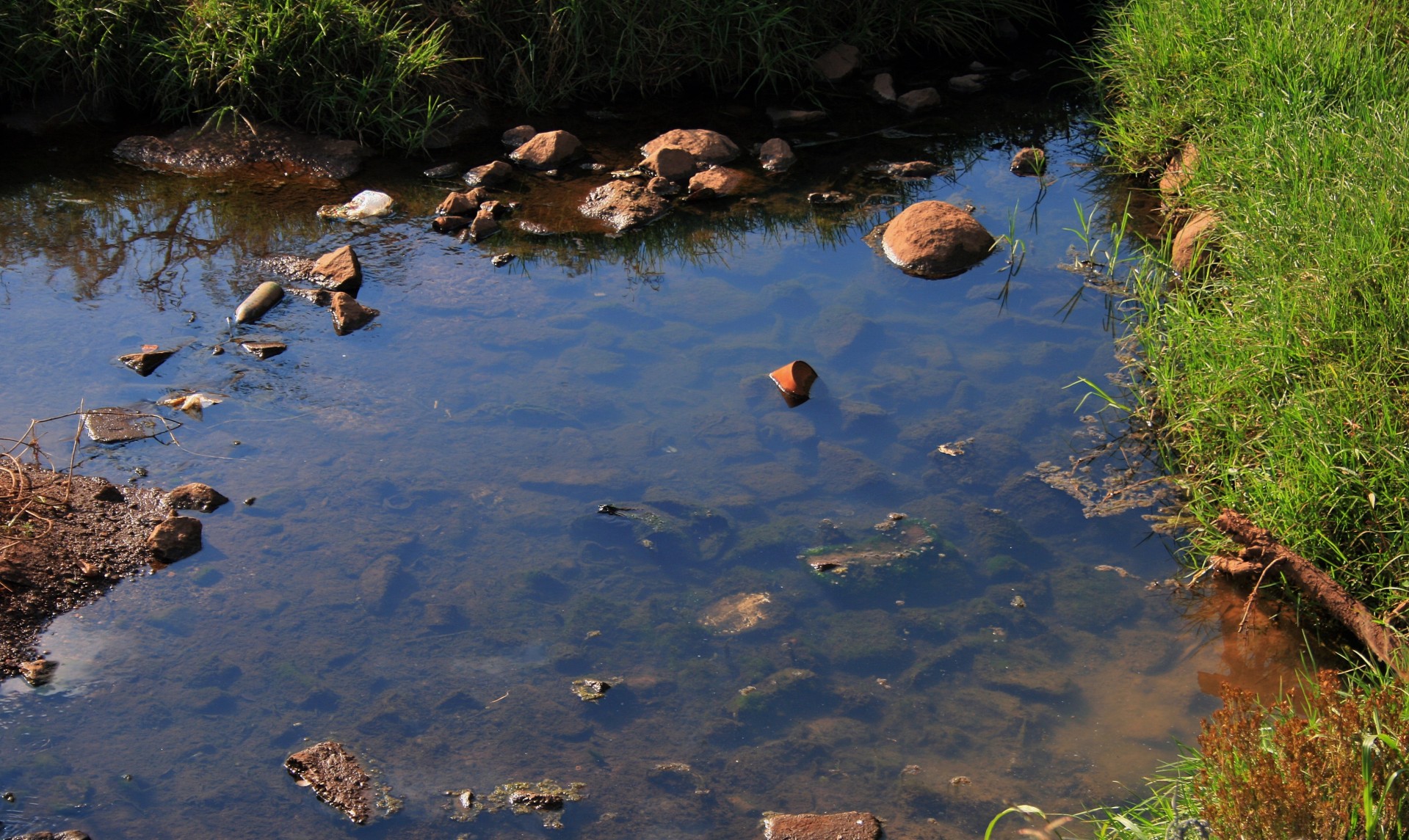 stream water shallow free photo
