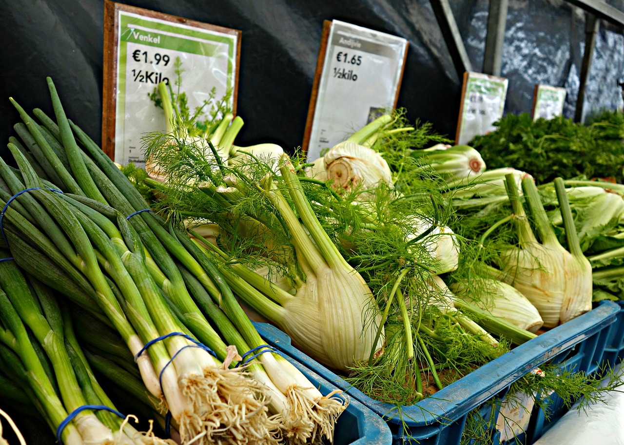 shalott onion fennel free photo