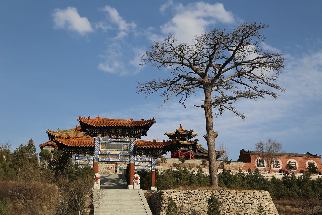 shanxi temple trees free photo