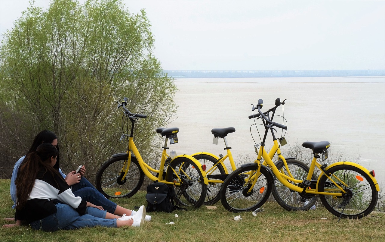shared spring the yellow river shore free photo