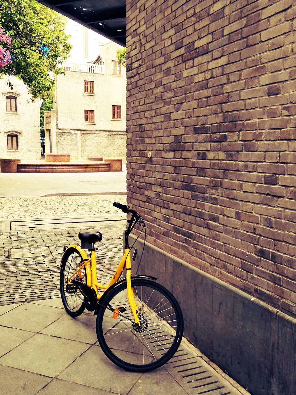 shared bike tourism bicycle free photo