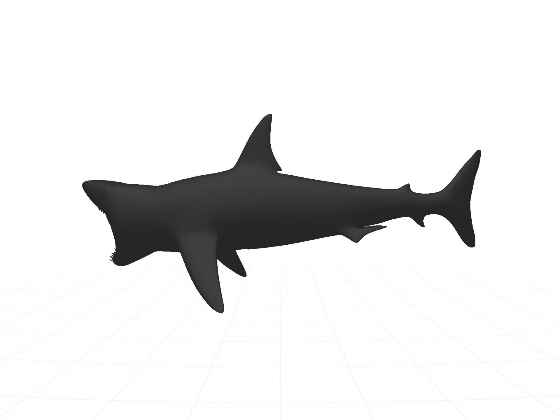 shark silhouette black free photo