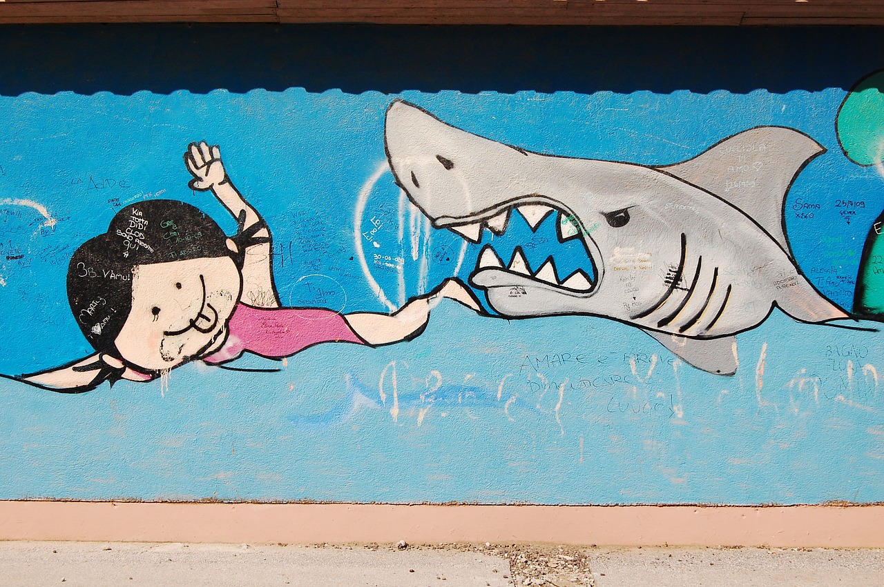 shark graffiti italy free photo