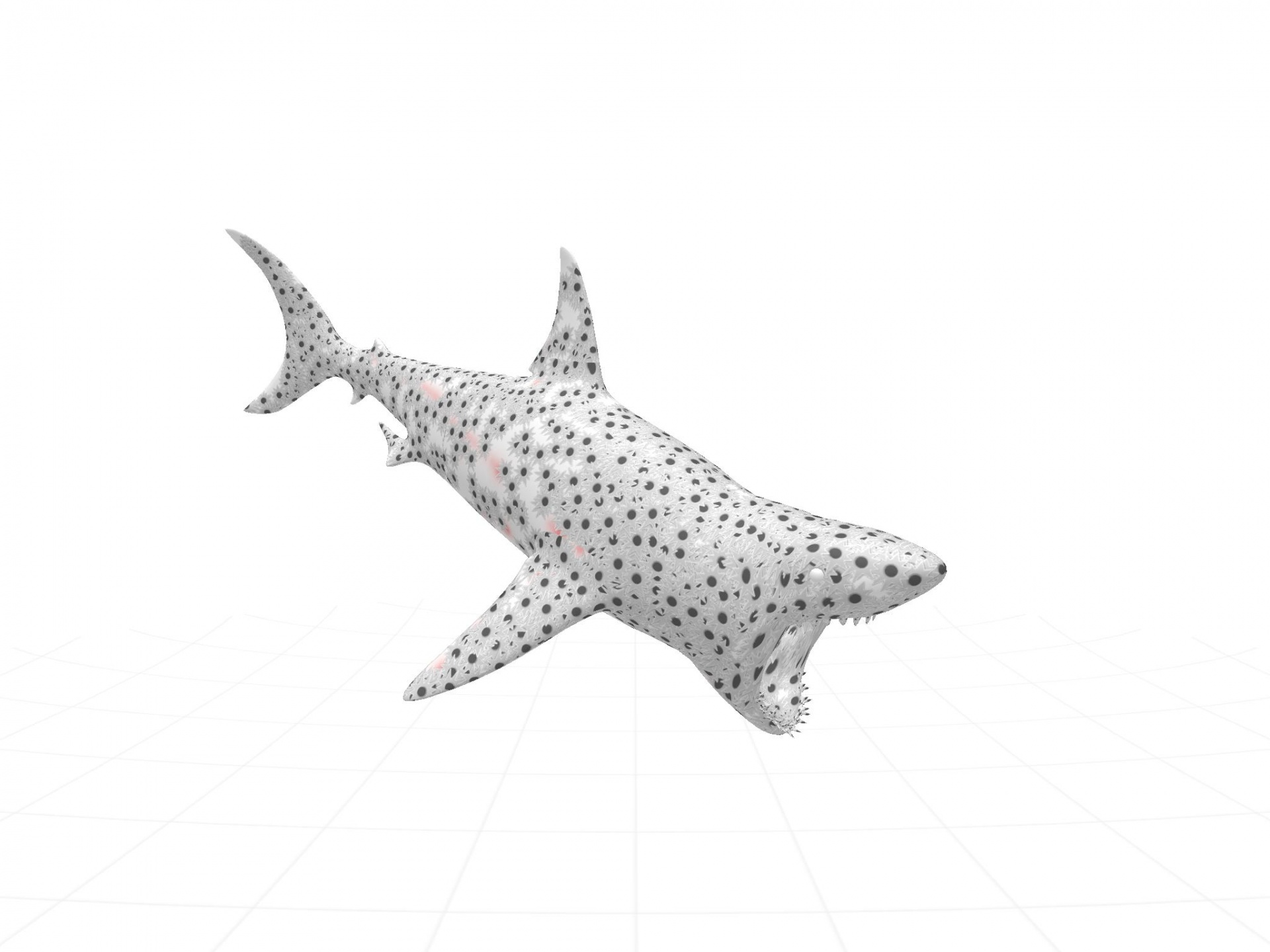drawing shark 3d free photo