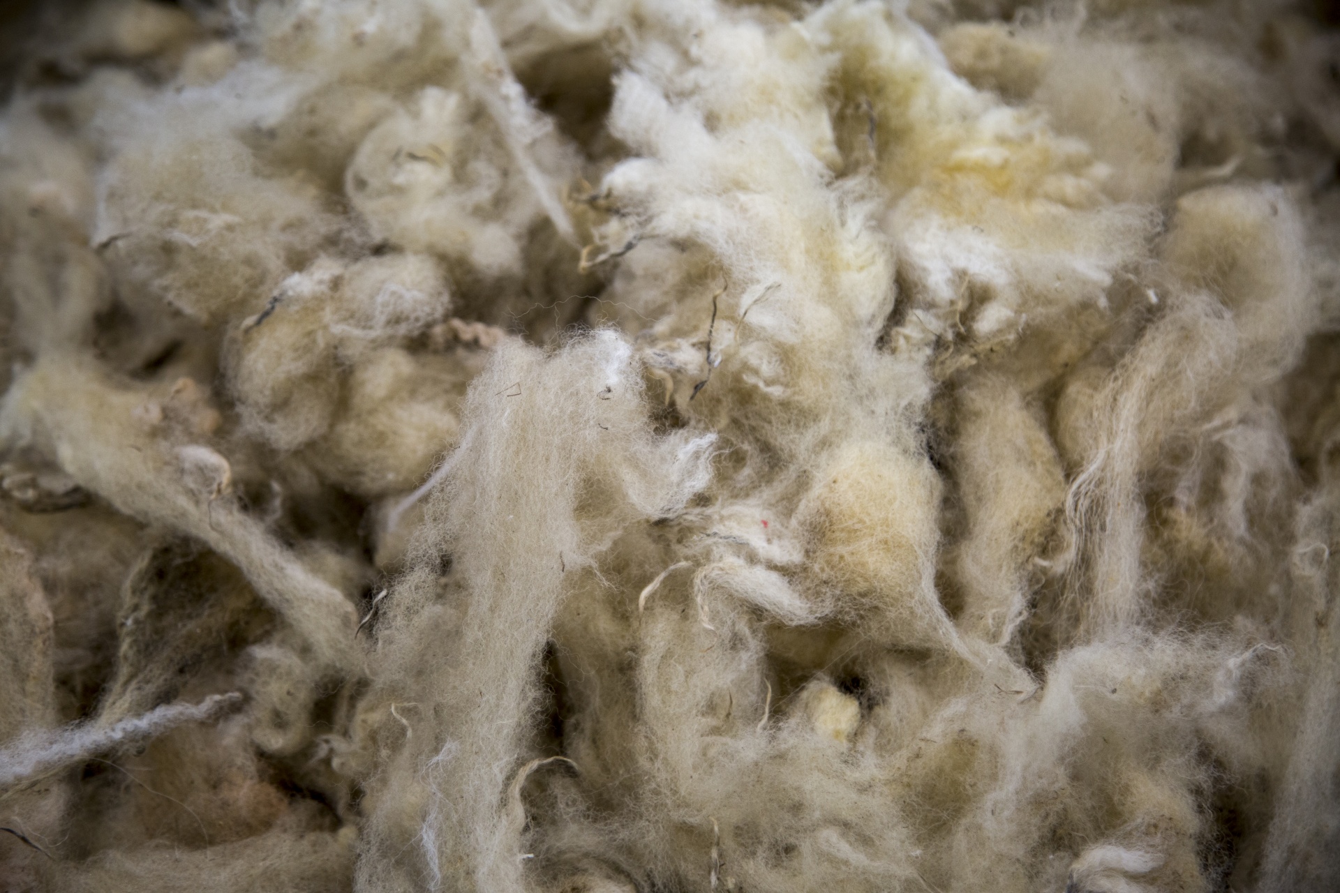 wool raw fabric free photo