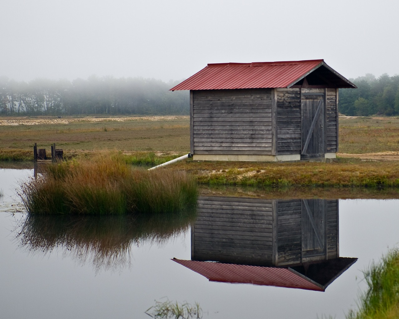 shed lonely foggy free photo