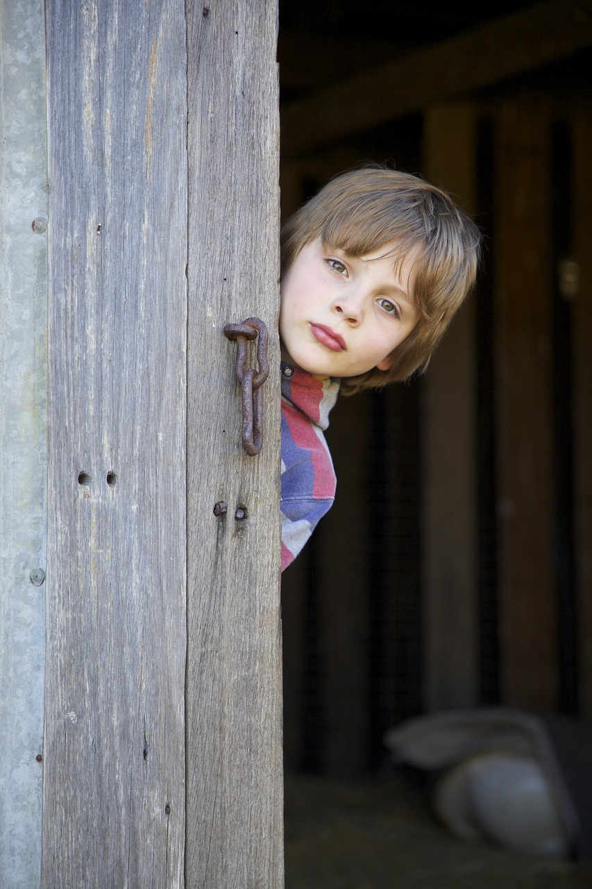 shed shed door barn free photo