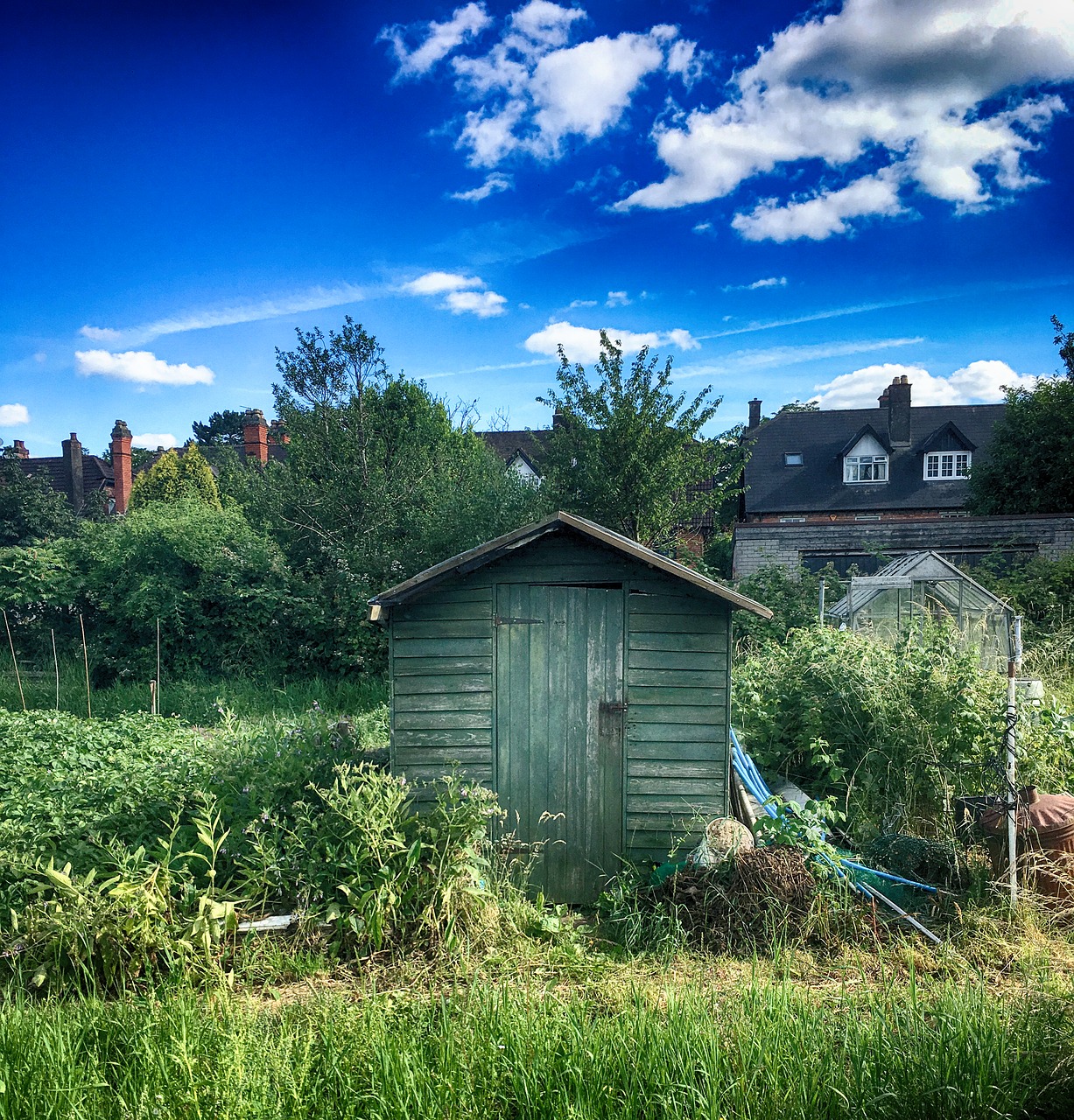 shed garden gardening free photo