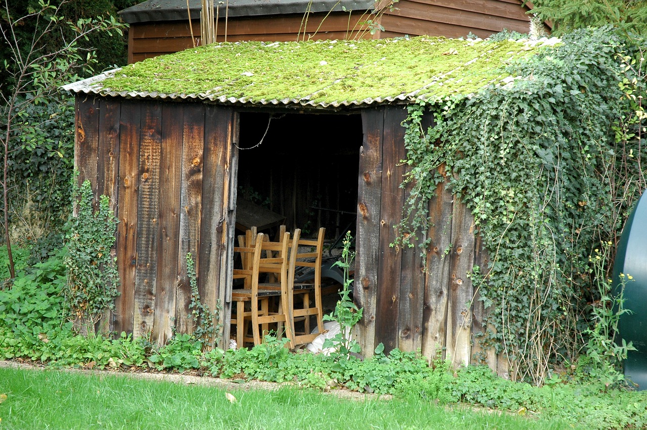 shed outhouse wooden free photo