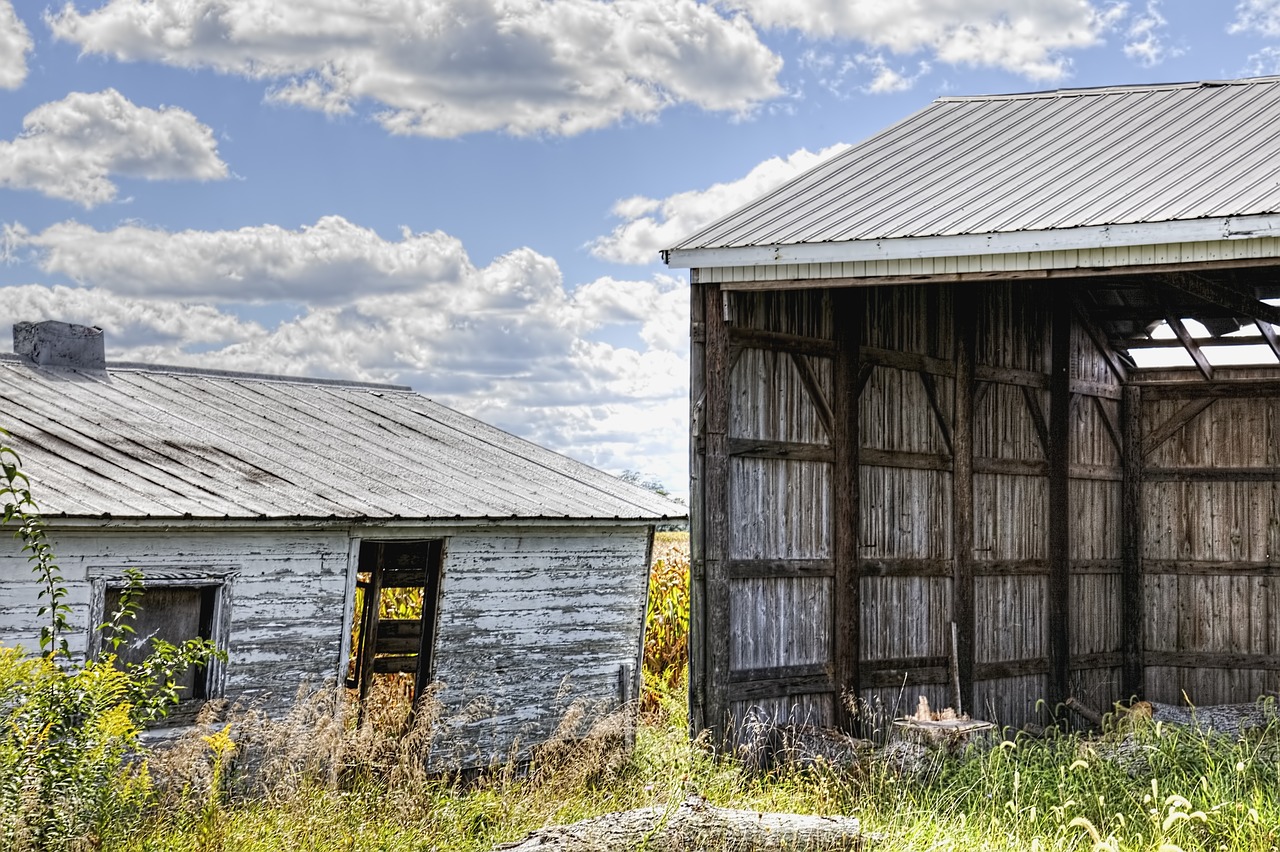 shed sheds barns free photo