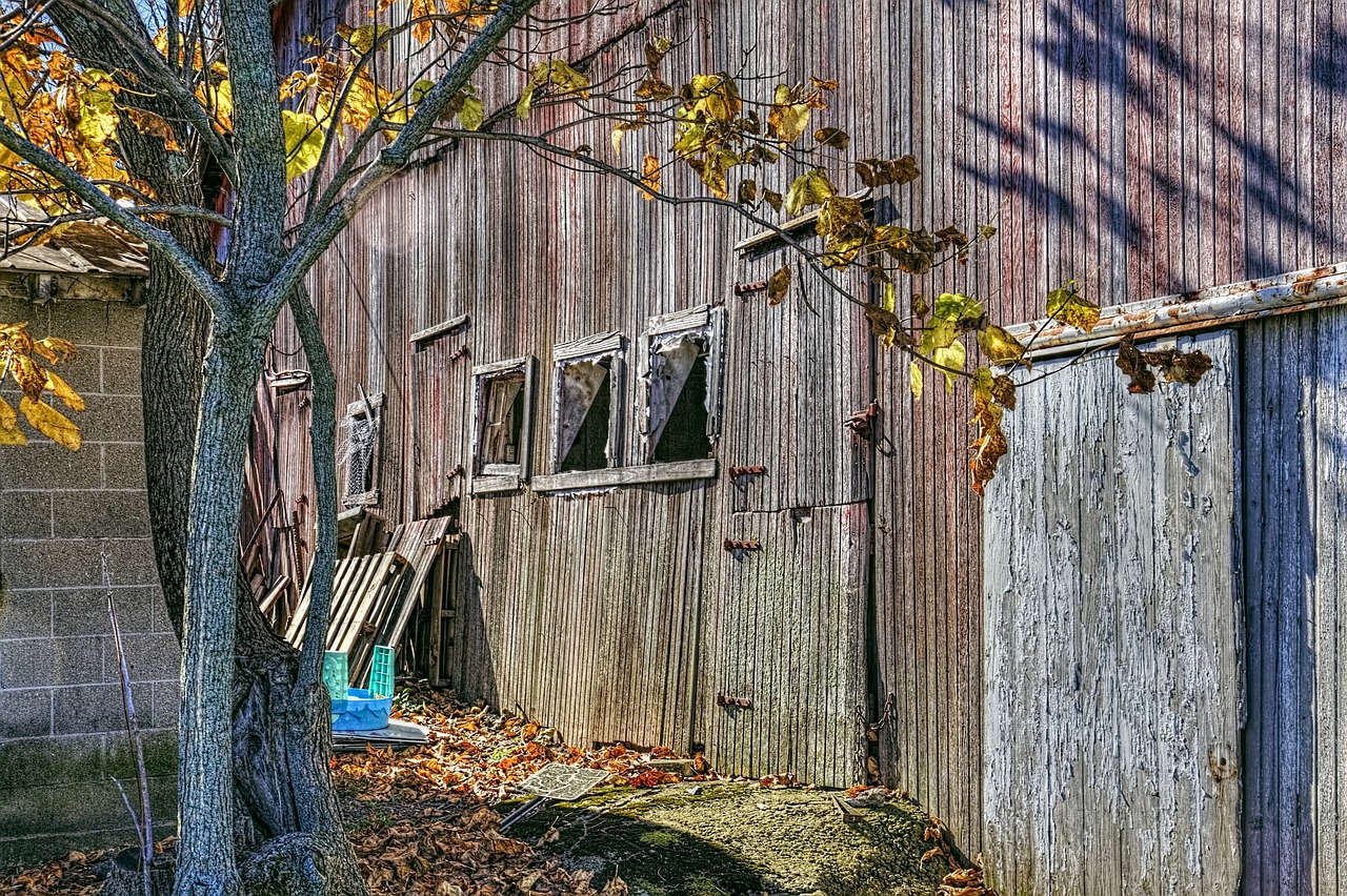 shed sheds barns free photo
