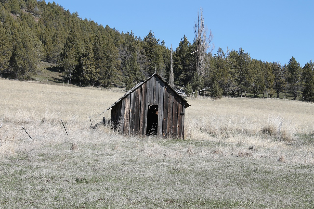 shed shack rustic free photo